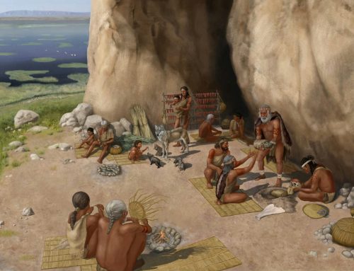 Nuestra vida común con los perros comenzó mucho antes de lo que pensábamos