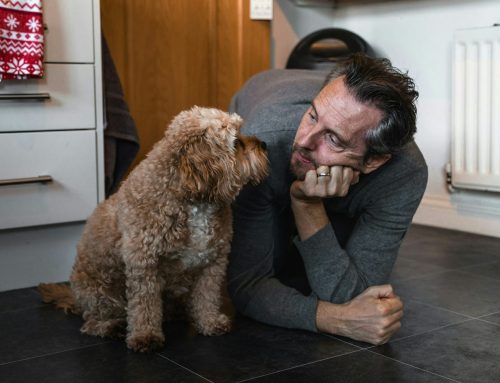 Cuando estamos contentos, nuestro perro nos obedece mejor que si estamos de mal humor