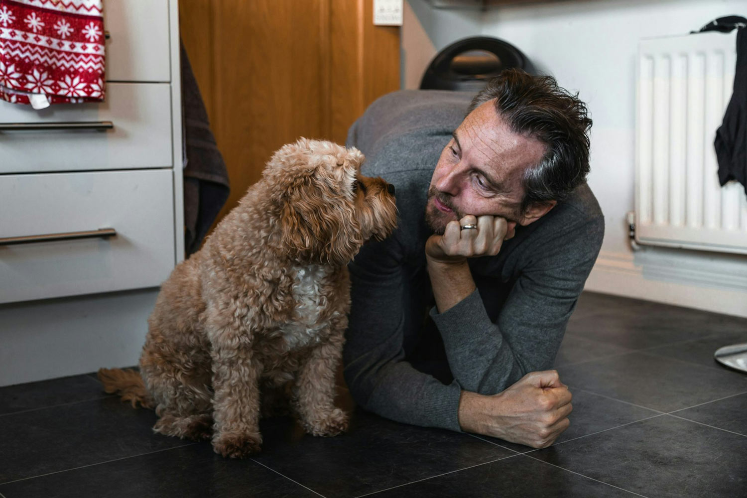 Los perros son capaces de percibir nuestro estado de ánimo con gran precisión. Charlie Green / Unsplash., CC BY-SA